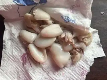 Make Barbecue fish step 1