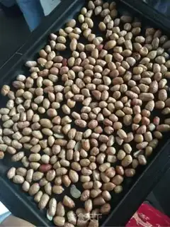 Make Salty peanut rice step 3
