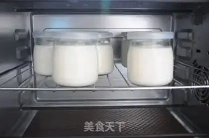 Make Homemade yogurt step 5