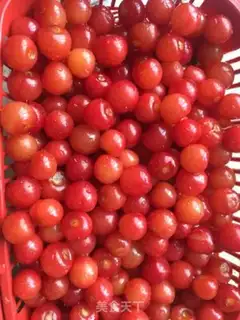 Make Cherry sauce step 0