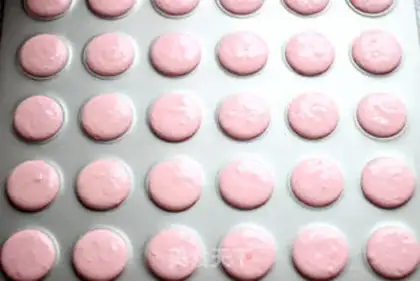 Make The snail macaron step 5