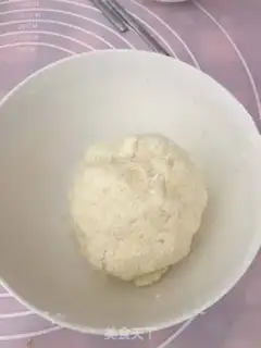 Make Protein coconut ball step 4