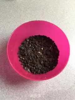 Make French chocolate Bristew step 7