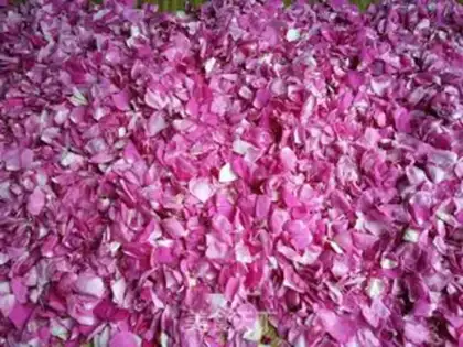 Make Rose bread step 0
