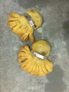 Make Goldfish step 7