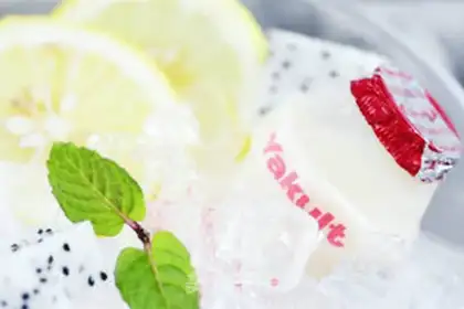 Make Blueberry Cool step 2