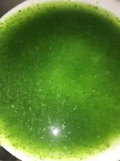 Make Green juice step 4