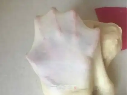 Make Old light milk bread step 1