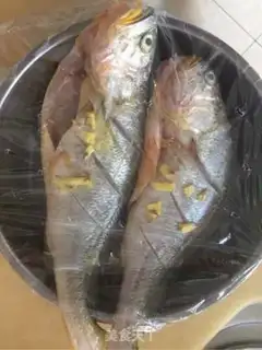 Make Steam fish step 1