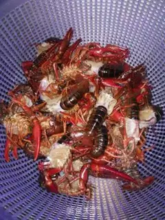 Make Hunan special shrimp step 0