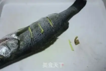 Make Squidfish step 1