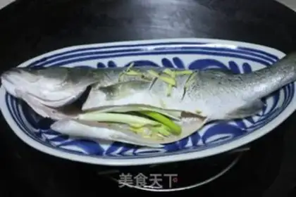 Make Squidfish step 2