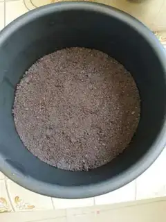 Make Mango yogurt mousse step 2