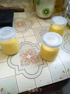 Make Mango yogurt mousse step 11