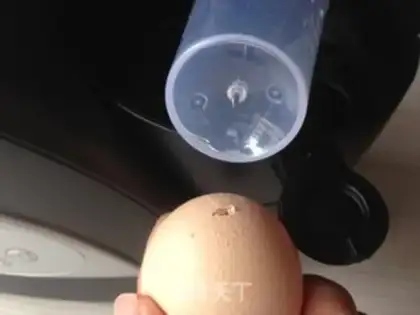 Make Egg salad sandwich step 2