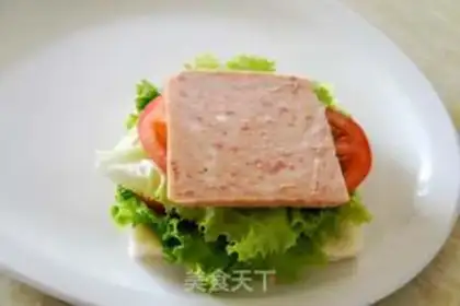 Make Cheese sandwich step 9