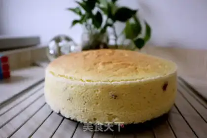 Make Cranberry yogurt cake step 13