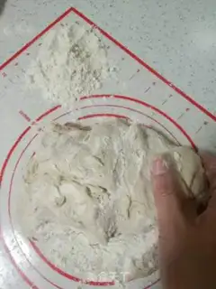 Make Cabbage and slag step 12