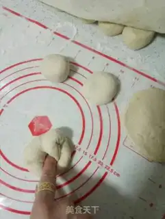Make Cabbage and slag step 16