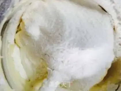 Make Mango Charlotte step 8