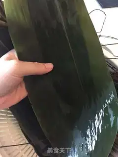 Make Bedwater palm step 3