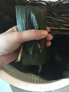 Make Bedwater palm step 8