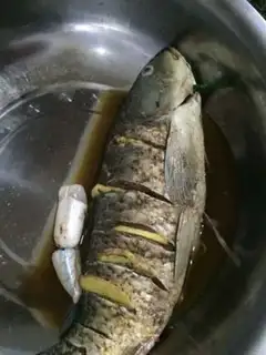 Make Steam carp step 0