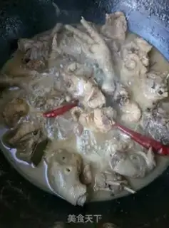 Make Homemade chicken step 9