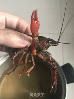 Make Spicy lobster step 1