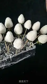Make Fruit blossoms step 1