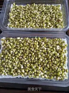 Make Green bean sprouts step 2