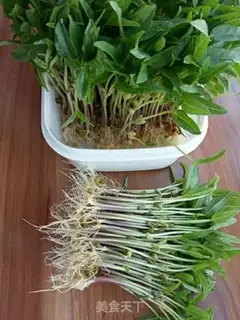 Make Green bean sprouts step 6