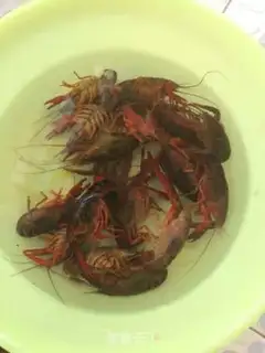 Make Vacuate the lobster step 0