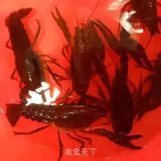 Make Spicy lobster step 0