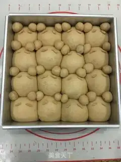 Make Splendid proteins step 0