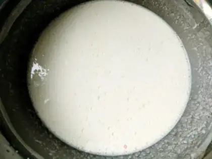 Make Intestine powder step 0