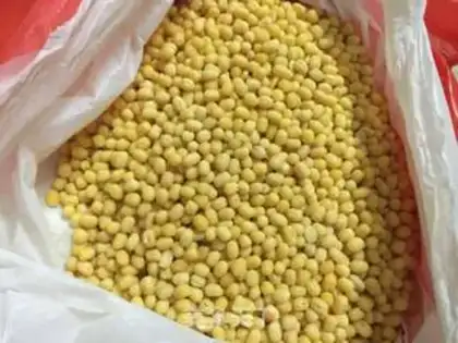 Make Snack step 0