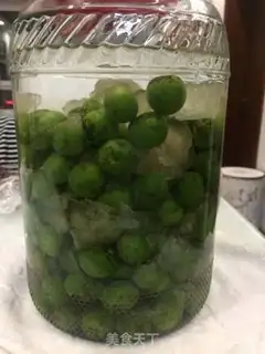 Make Blue plum wine step 3