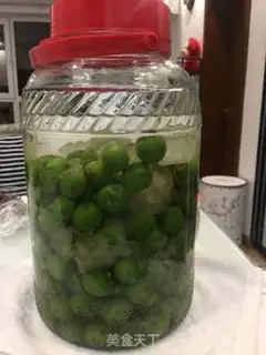 Make Blue plum wine step 4