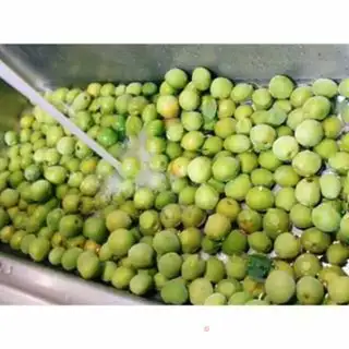 Make Blue plum wine step 1