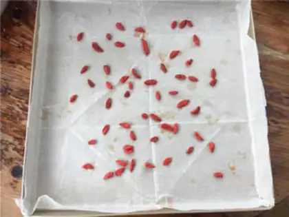 Make A tea cake step 11