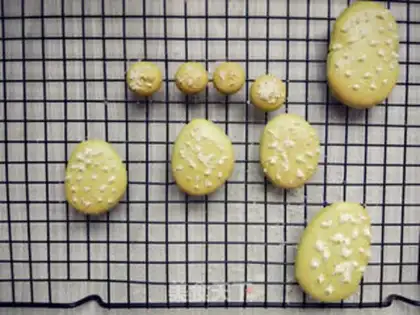 Make The tea cactus step 18