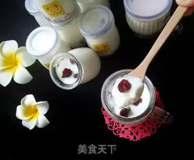 Make Cranberry yogurt step 12