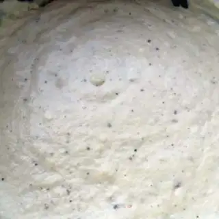 Make Pasta cheese and white sauce step 4