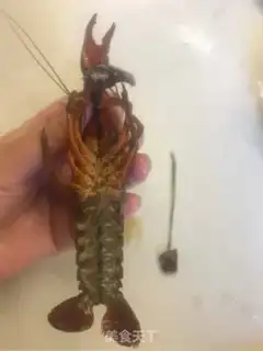 Make Spicy lobster step 2