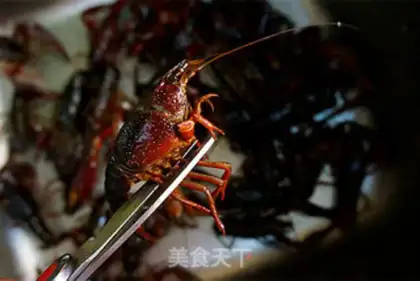 Make Fried lobster step 1