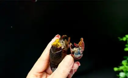 Make Fried lobster step 4