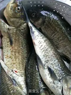 Make Pocketfish step 0