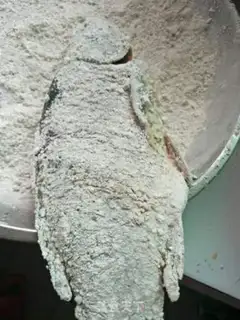 Make Pocketfish step 4