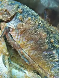Make Pocketfish step 5